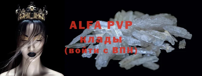 A-PVP СК КРИС Ивангород